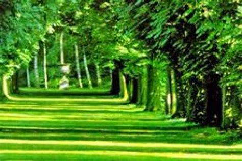 Rüyada yeşil yol görmek